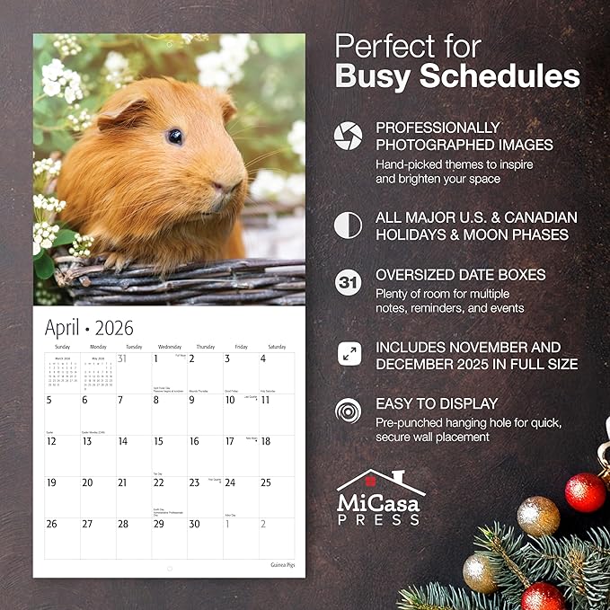 MICASA PRESS Guinea Pigs 2026 Wall Calendar 12 Month | 12” x 24” Open | Thick & Sturdy Paper | Giftable | Cute Funny Animal Kids Calendar 2026