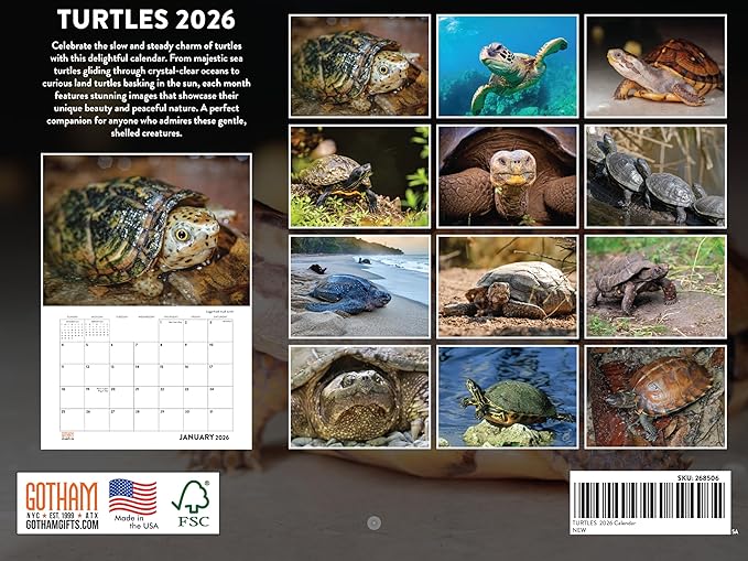 Turtle Calendar 2026 Monthly Wall Calender 12 Month | American Made In The USA