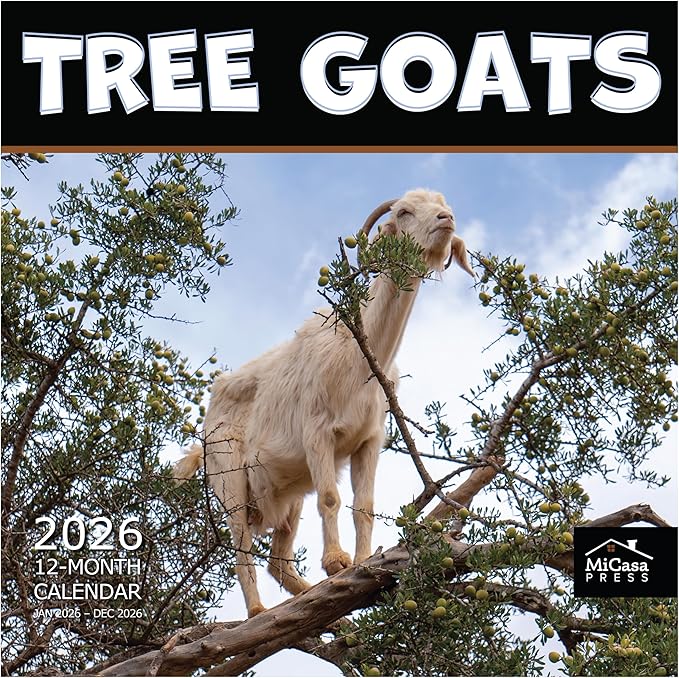 MICASA PRESS Tree Goats 2026 Wall Calendar 12 Month | 12” x 24” Open | Thick & Sturdy Paper | Giftable | Funny Animal Calendar 2026