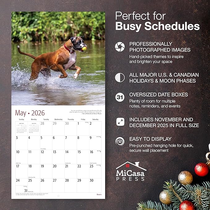 MICASA PRESS Boxers 2026 Wall Calendar 12 Month | 12" x 24" Open | Thick & Sturdy Paper | Giftable | Cute Puppy Dog Calendar 2026