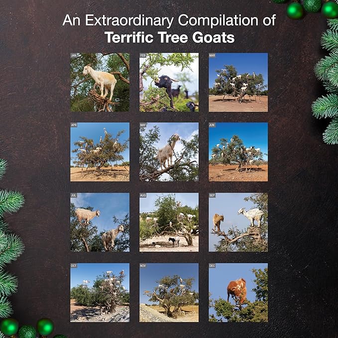 MICASA PRESS Tree Goats 2026 Wall Calendar 12 Month | 12” x 24” Open | Thick & Sturdy Paper | Giftable | Funny Animal Calendar 2026