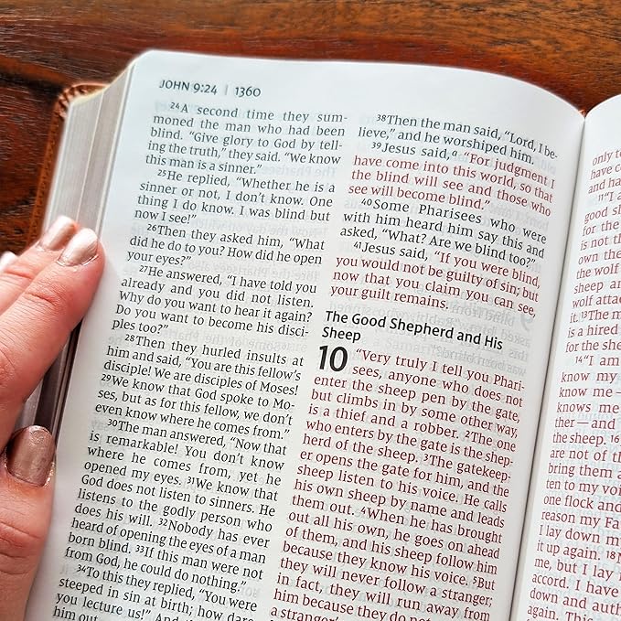 Farm and Posh Personalized NIV Personal Bible with Crown of Thorns | Large Print (Brown Knight Standing Solo)