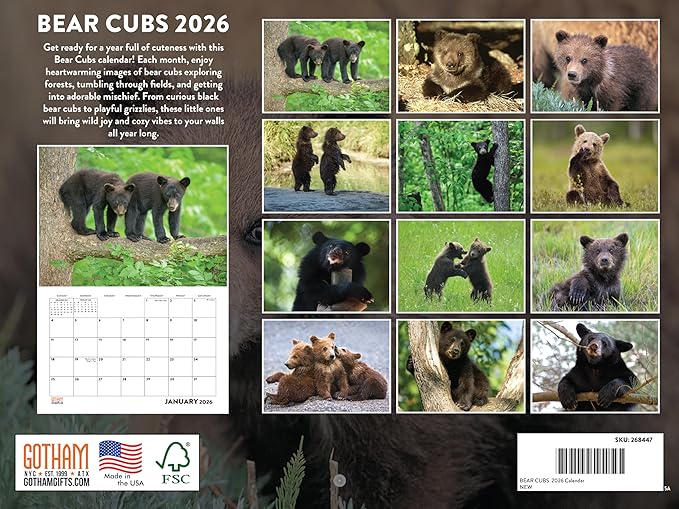 Baby Bear Cubs Calendar 2026 Monthly Wall Calender 12 Month | American Made In The USA