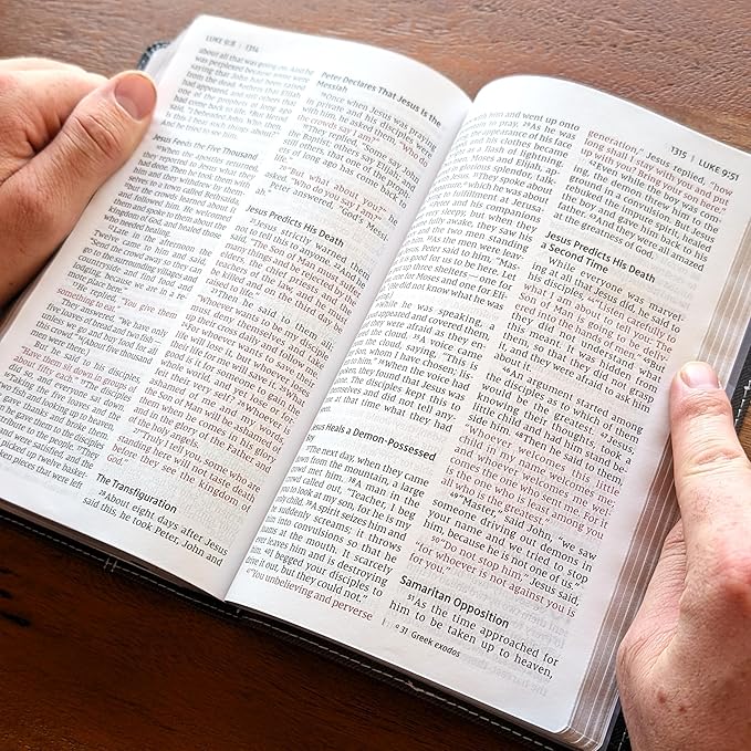 Farm and Posh Personalized NIV Personal Bible with Crown of Thorns | Large Print (Black Lion Front)