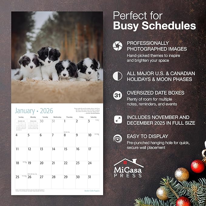 MICASA PRESS Border Collie Puppies 2026 Wall Calendar 12 Month | Thick & Sturdy Paper | Giftable | Cute Puppy Dog Calendar 2026