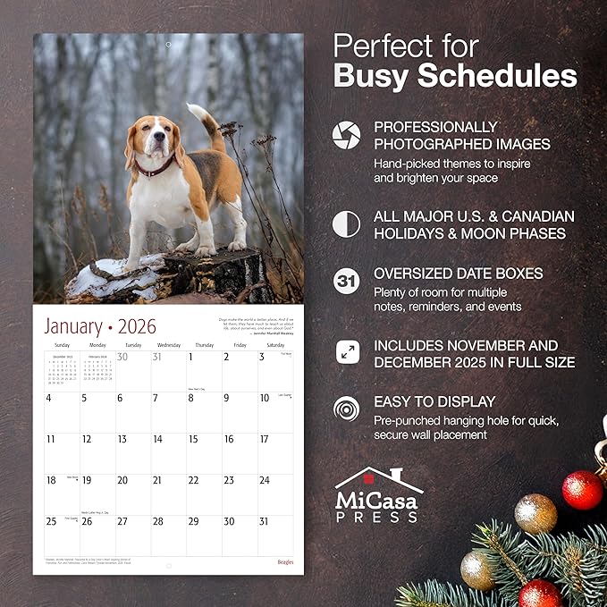 MICASA PRESS Beagles 2026 Wall Calendar 12 Month | 12" x 24" Open | Thick & Sturdy Paper | Giftable | Cute Puppy Dog Calendar 2026