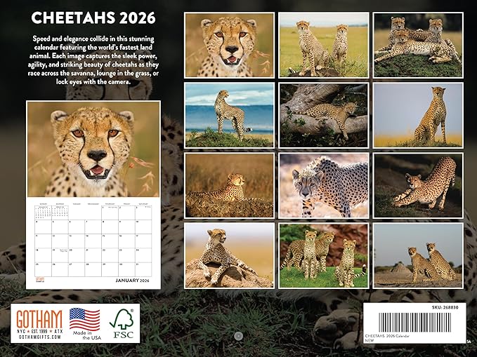 Cheetah Calendar 2026 Monthly Wall Calender 12 Month | American Made In The USA