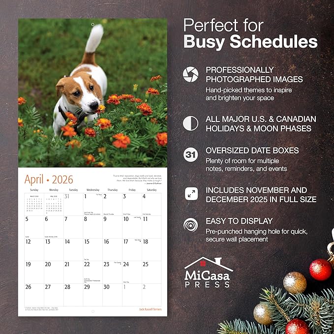 MICASA PRESS Jack Russell Terriers 2026 Wall Calendar 12 Month | 12" x 24" Open | Thick & Sturdy Paper | Giftable | Cute Puppy Dog Calendar 2026