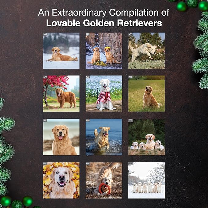 MICASA PRESS Golden Retrievers 2026 Wall Calendar 12 Month | 12" x 24" Open | Thick & Sturdy Paper | Giftable | Cute Puppy Dog Calendar 2026