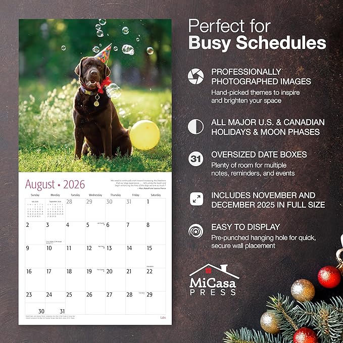 MICASA PRESS Labs 2026 Wall Calendar 12 Month | 12" x 24" Open | Thick & Sturdy Paper |Giftable | Cute Labrador Retriever Puppy Dog Calendar 2026