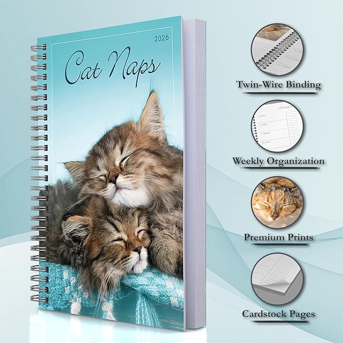Cat Naps 2026 Weekly & Monthly Planner, 12-Month Engagement Calendar: 2026