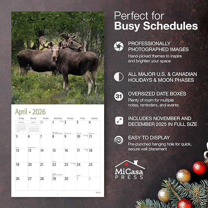 MICASA PRESS Moose 2026 Wall Calendar 12 Month | 12” x 24” Open | Thick & Sturdy Paper | Holiday Gift | Animal Calendar 2026