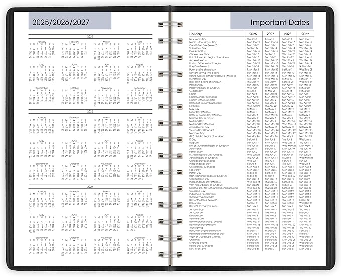 AT-A-GLANCE 2026 Appointment Book Planner, Daily, 5" x 8", Small, Quarter-Hourly, DayMinder, Black (G1000026)