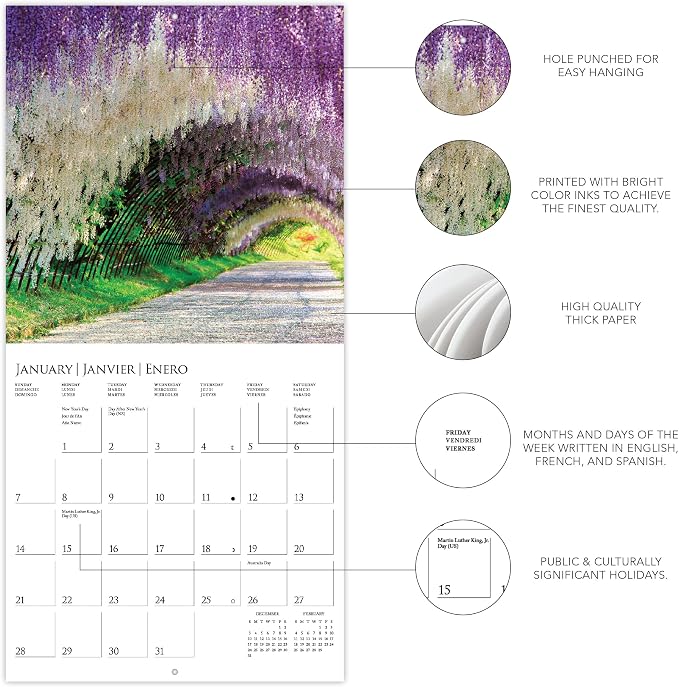 Graphique 2024 In the Garden Mini Wall Calendar | 7” x 7” | Thick Paper | Home & Office Organizer | Large Monthly Grid | 3 Languages & Marked Holidays | 4 Month Preview Page for 2025