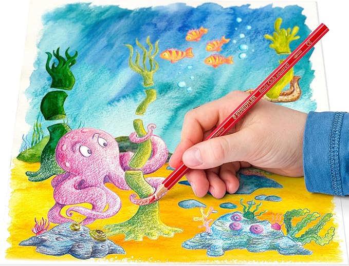 STAEDTLER 144 10NC24 Noris Club Aquarell Watercolour Pencils Plus Paint Brush, Assorted Colours, Pack of 24