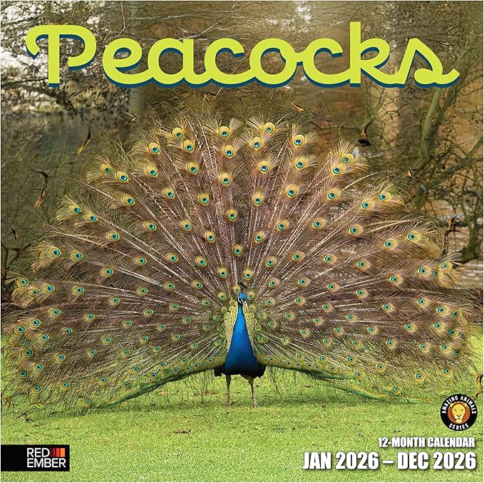 RED EMBER Peacocks 2026 Wall Calendar 12 Month | 12" x 24" Open | Thick & Sturdy Paper | Giftable | Bird Calendar 2026