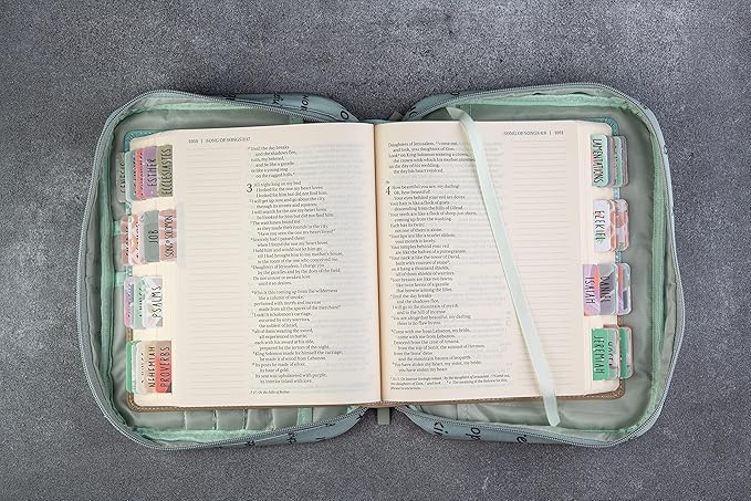 DiverseBee Bible Cover with Handles, Zippered Bible Carrying Case for Men and Women, Bible Tote Bag for Kids, Book Cover Accessories, Christian Gifts 7.5 x 10 x 2.5in (Noble Words)