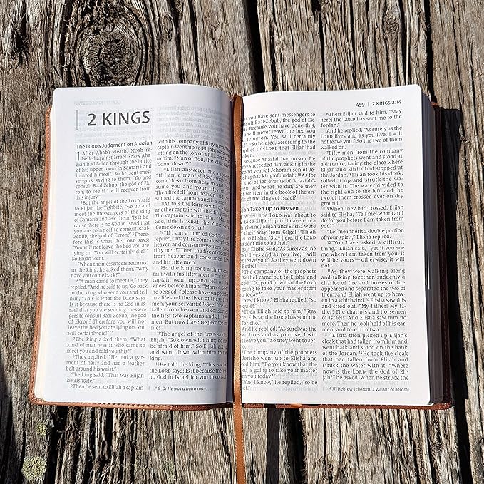 Farm and Posh Personalized NIV Personal Bible with Crown of Thorns | Large Print (Brown)